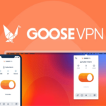 Goose VPN Review The Best Affordable VPN for Unlimited Devices 2025 (AppSumo Deal)